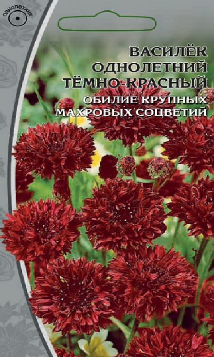 Василек однолетний  темно-красный 0,1гр 964878964878- купить в АПлайн