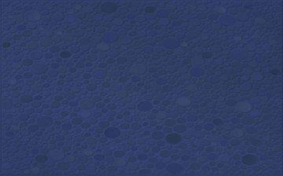 Плитка облицовочная Glace TWU07GLC300 24,9х36,4см