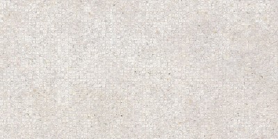 Плитка облицовочная Ojen рельеф ТWU090JN004 24,9х50см