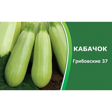 Кабачок Грибовские 37 Марс 2г раннеспелый б/п