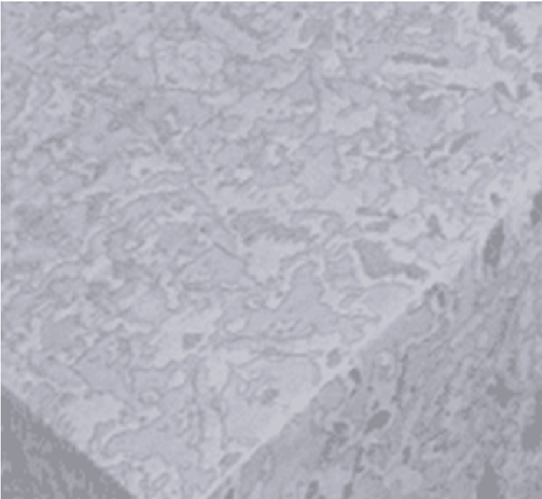 Клеенка Лионель на тканевой основе 1,37х20м LJ 83020