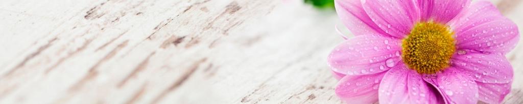 Панель-фартук Космея фотопечать Light М ФФ 238 600х3000мм