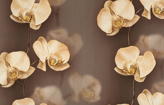 Обои бумажные симплекс Брянск Грация 8 0,53х10м С6БР-ГП