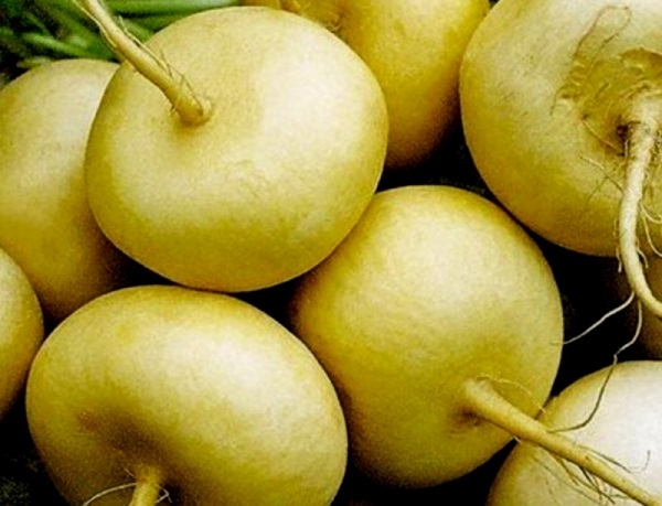 Репа Петровская 1 Марс (среднеранняя) б/п