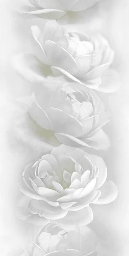 Панель ПВХ Белые розы 0,25х2,7м 851