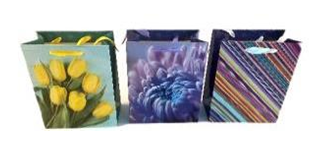 Пакет подарочный EuroHouse 18х23х10см 13759