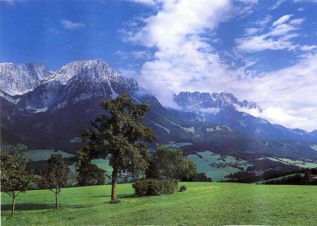 Фотообои "Альпийский луг" 9л. 300х201