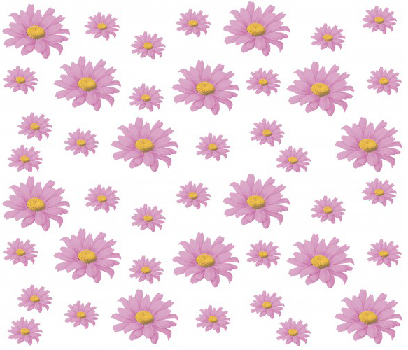 КЛЕЕНКА БЕЗ ОСНОВЫ 1,2Х50М (ДЕКОР) РОМАШКИ 00-14-08