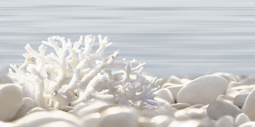 Декор Дель Мар/Del Mare DWU09DLM624  24,9х50см - DWU09DLM624 - купить в АПлайн