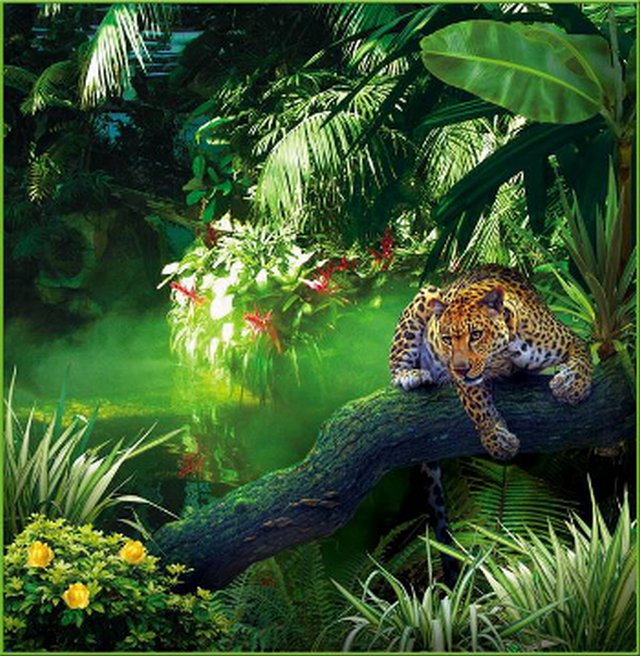 Фотообои "Джунгли" 6л. 196х201