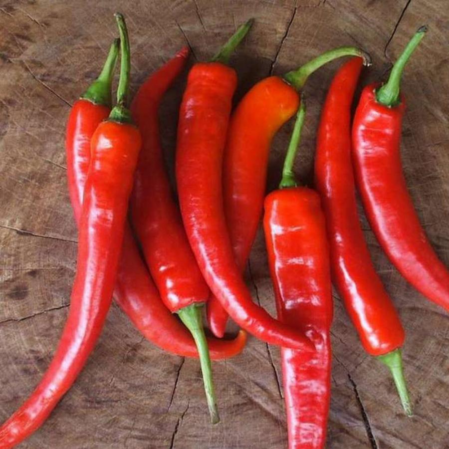 Перец острый Язык дракона Марс 0,2г раннеспелый б/п