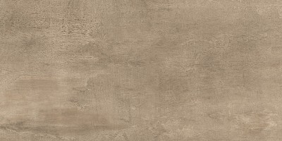 Плитка Poleo облицовочная TWU09PLO424 24,9х50см