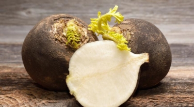 Редька Зимняя круглая черная (МАРС) 1г (среднеспелая) б/п