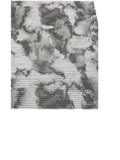 Коврик мерный ПВХ GRAILY лайт 0,80х15м GR1424B-80 125613125613- купить в АПлайн