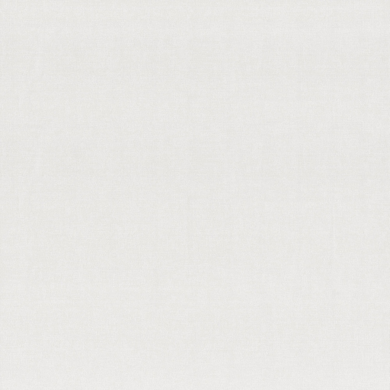 Обои виниловые на флизелиновой основе A.S.Creation Перо фон 1,06х10м 392654