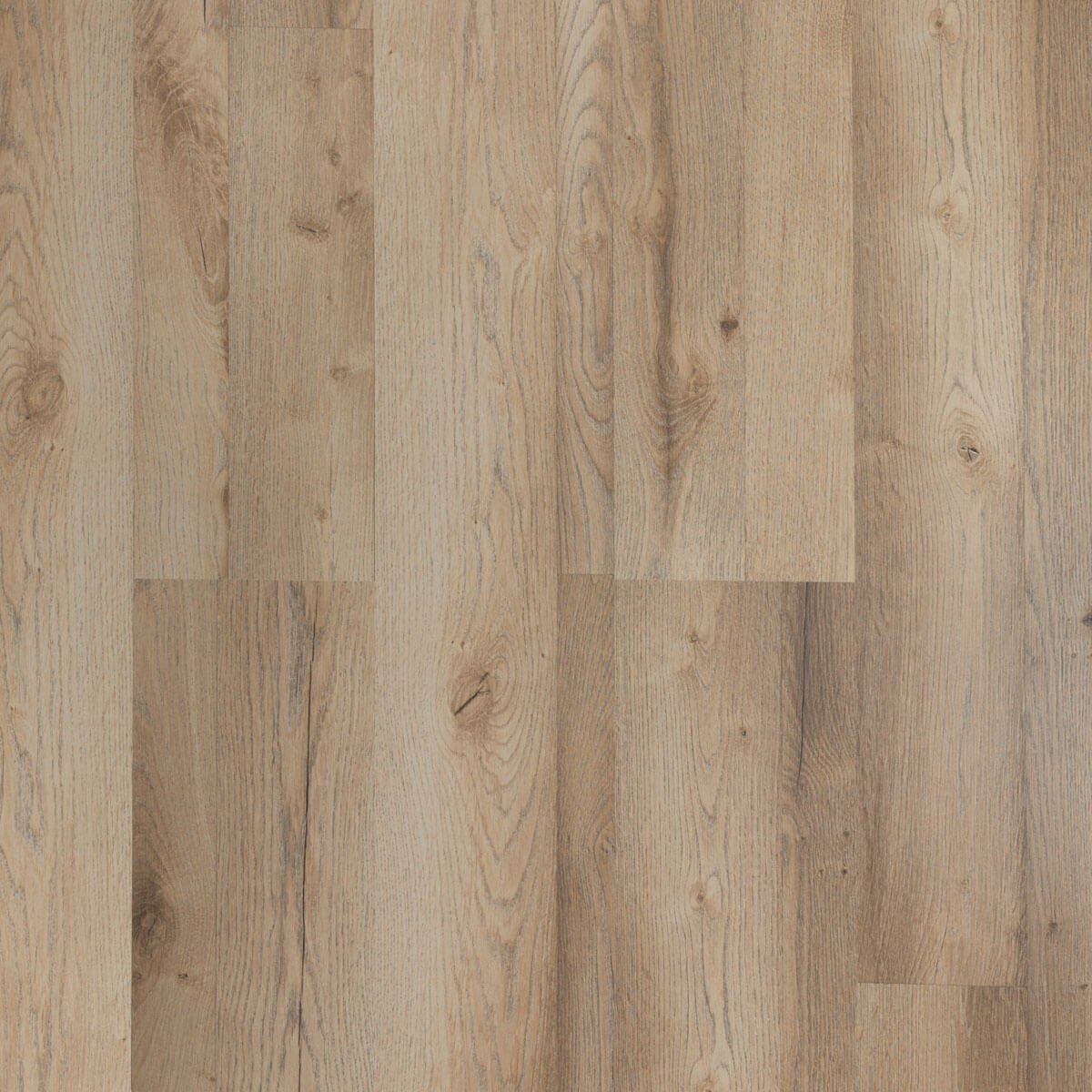 Ламинат White Box 32кл. Дуб Эйхе (2585) 1285х192х8мм, Фаска 4V (9) ПРОМО