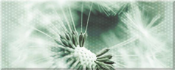 Панно Концепт одуванчик 7О тип 3 х9999126440 20х50см