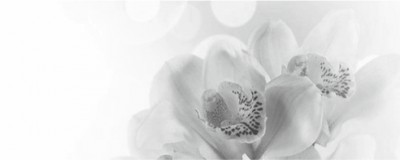 Панно Элегия 7 Тип 2 20х50см