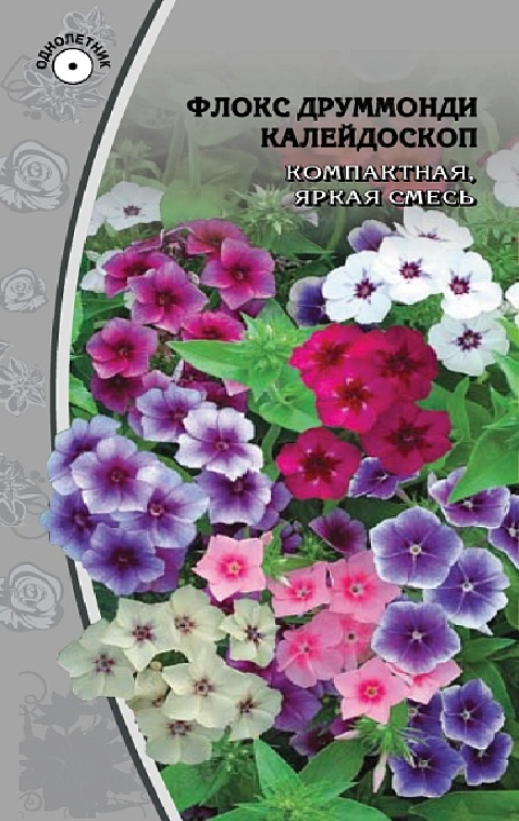 Флокс  друммонди Калейдоскоп 0,1гр 964935964935- купить в АПлайн