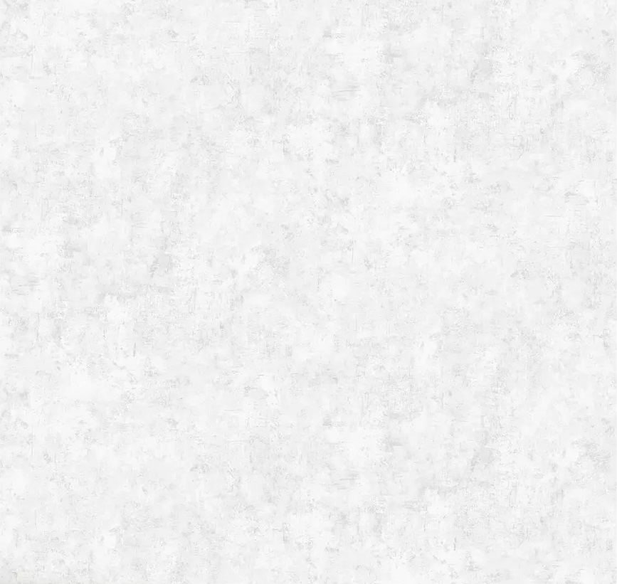 Обои виниловые горячего тиснения на флиз. основе Erismann Profi deco Хьюго 1,06х10м 61047-02