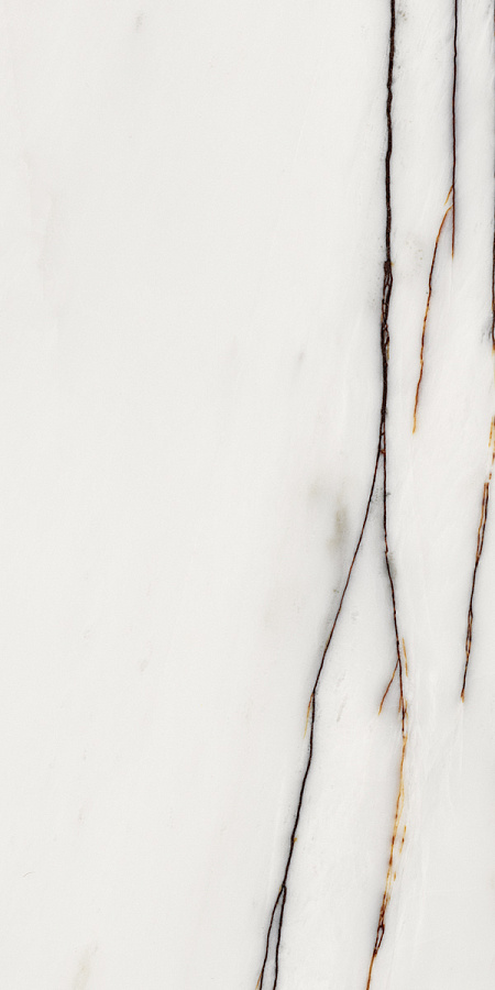 Плитка облицовочная ROSSO VENATO 31,5х63см