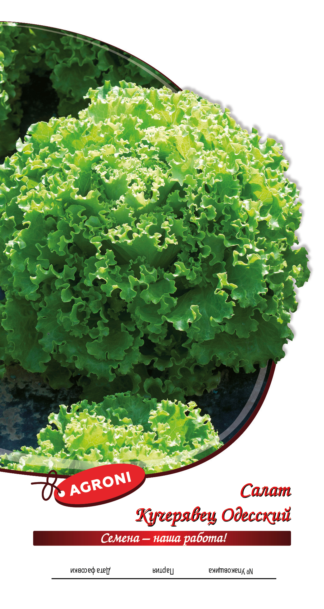 Салат кучерявец одесский АГРОНИ 0,5г среднеспелый е/п