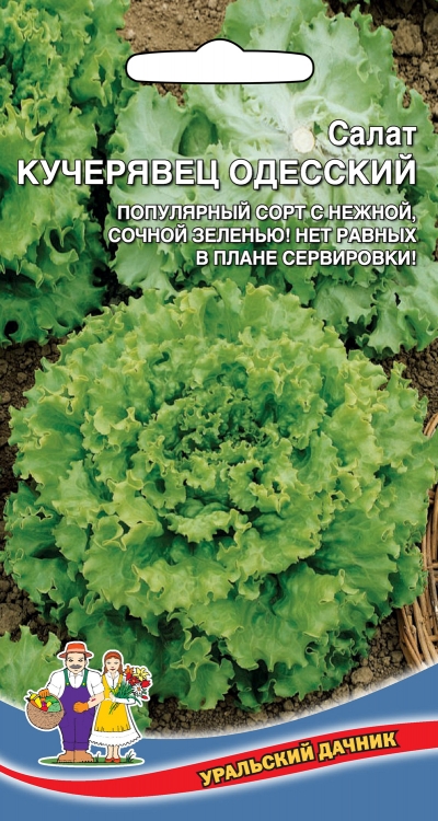 Салат кучерявец одесский УД 0,3г среднеспелый е/п