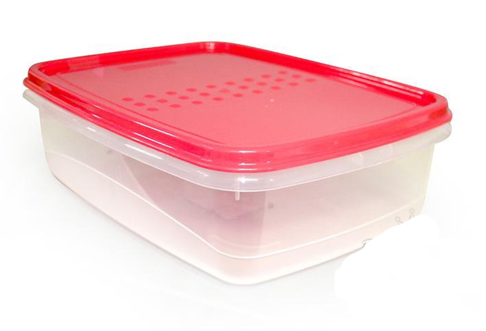 ЕМКОСТЬ ДЛЯ ХРАНЕНИЯ ПИЩЕВЫХ ПРОДУКТОВ PATTERN FLEX ПРЯМОУГОЛЬНАЯ 1,3Л КОРАЛЛОВЫЙ РТ1132КОРАЛ-12