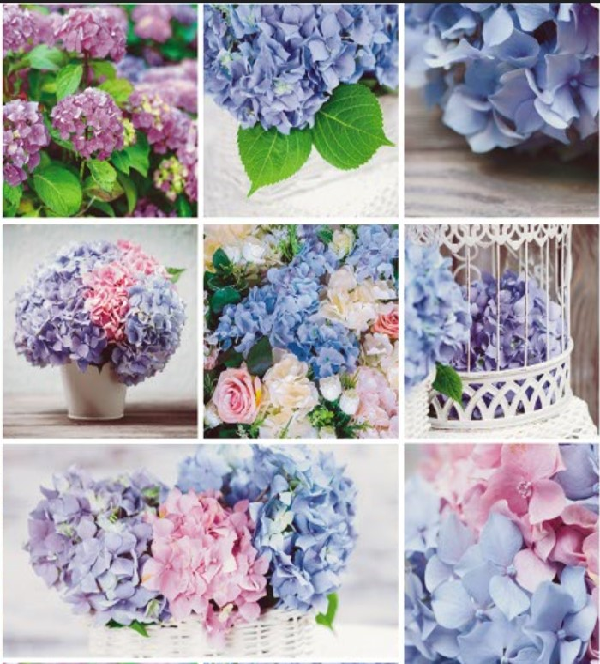 Клеенка Grase ткань с пвх покрытием  1,4х20м STG399 117697