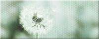 Панно Концепт одуванчик 7О тип 1 х9999126438 20х50см