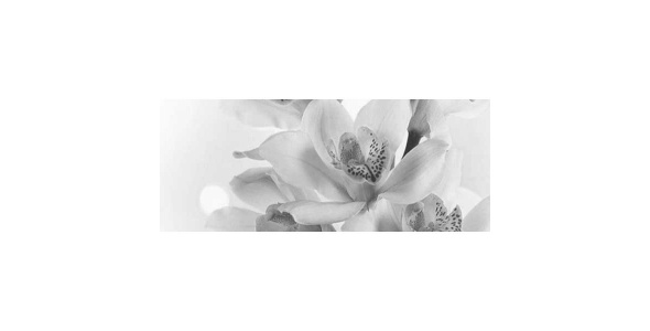 Панно Элегия 7 Тип 4 20х50см