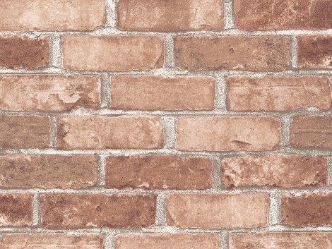 Обои виниловые на бумажной основе 7497 0,53х10м 755227-02