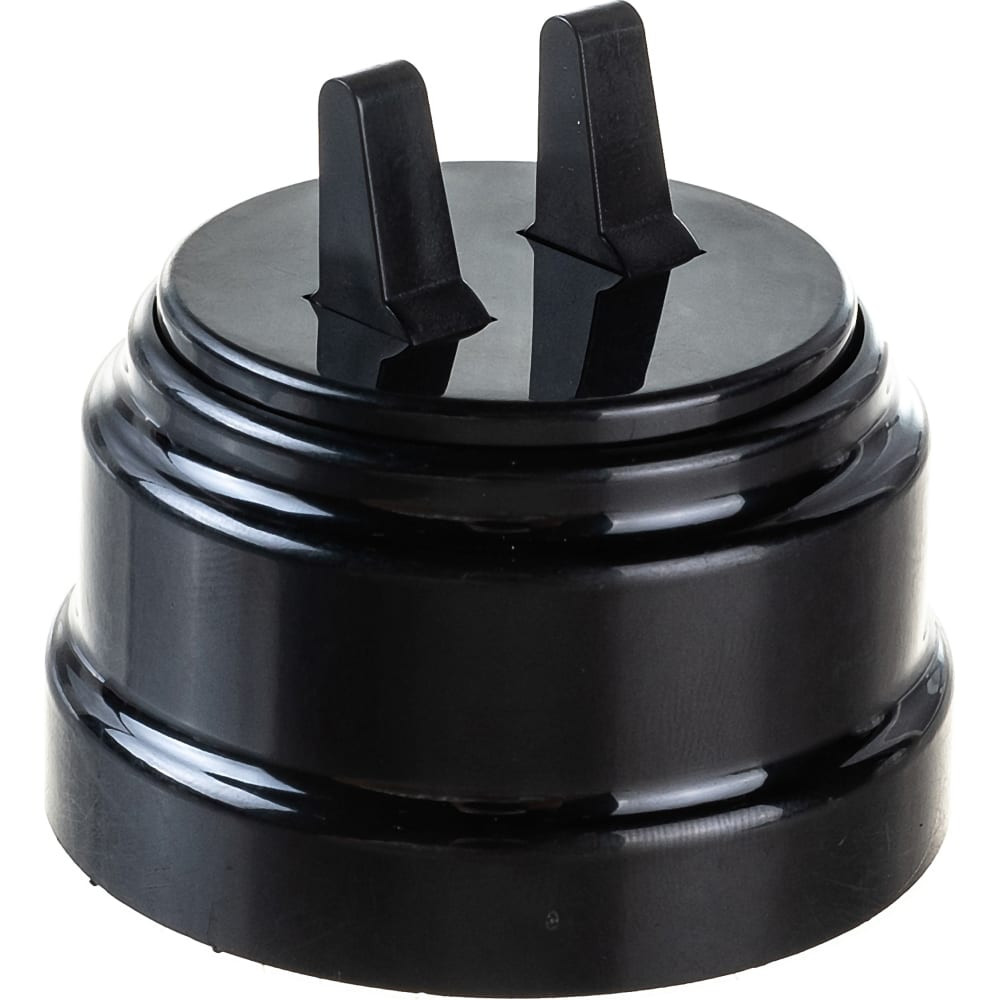 Выключатель "Ретро" 2 ОП черный в сборе тумблерный 10А Bylectrica А510-2204 (630) 