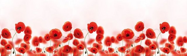 Панель-фартук Маки фотопечать АБС 600х3000мм