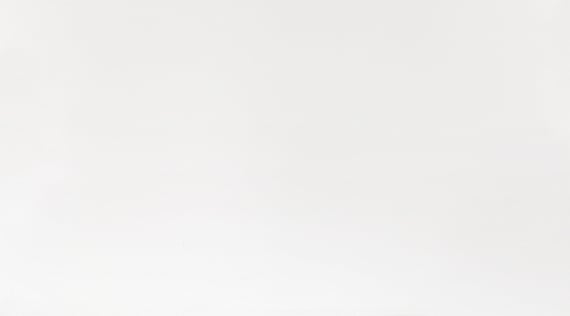 Плитка облицовочная Копенгаген белая 1045-0259 25х45см