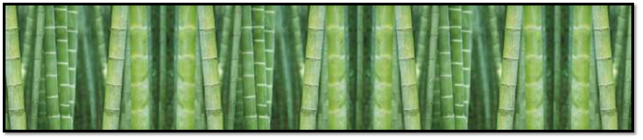 Панель-фартук Бамбук фотопечать Ф-170-2 600х2000мм