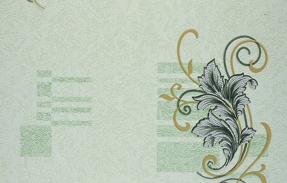 Обои бумажные акриловая пена Брянск Магия 5 0,53х10м С 9БР