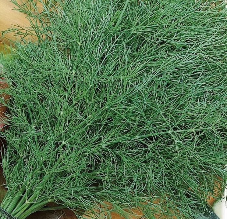 Укроп супердукат ое УД 2г среднеспелый е/п