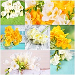 Клеенка Grace на тканевой основе 1,37(+-3)х20м ST1008-1 74449