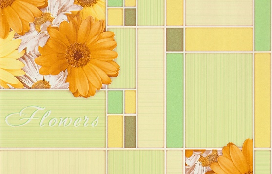 Обои бумажные моющиеся Брянск Герберы 5 0,53х10м С 1БР-ГП