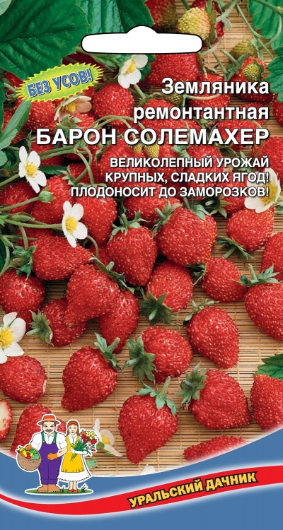 Земляника ремонтантная БАРОН СОЛЕМАХЕР (УД) 0,05г раннеспелая е/п- купить в АПлайн