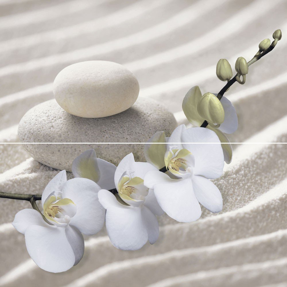 Панно из 2 плиток Релакс/Relax PWU09RLX1 49,8х50см - PWU09RLX1 - купить в АПлайн