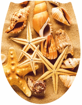 СИДЕНЬЕ Д/УНИТАЗА ФОТОПРИНТ РАКУШКА АРТ.39533 /870/