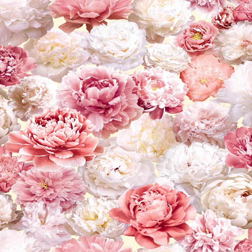 Обои виниловые Пионы 0,53х10м В015-05