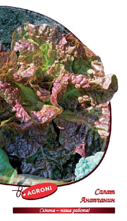 Салат Анапчанин Агрони 0,5г раннеспелый 4237