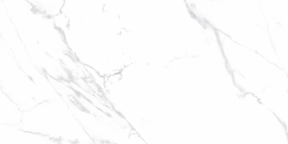 Керамогранит Статуарио Джастис Грей/Statuario Justice Grey белый матовый 60x120см -  - купить в АПлайн