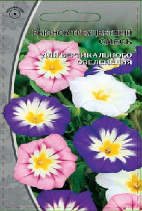 Вьюнок трехцветный смесь 0,5гр. 964887964887- купить в АПлайн