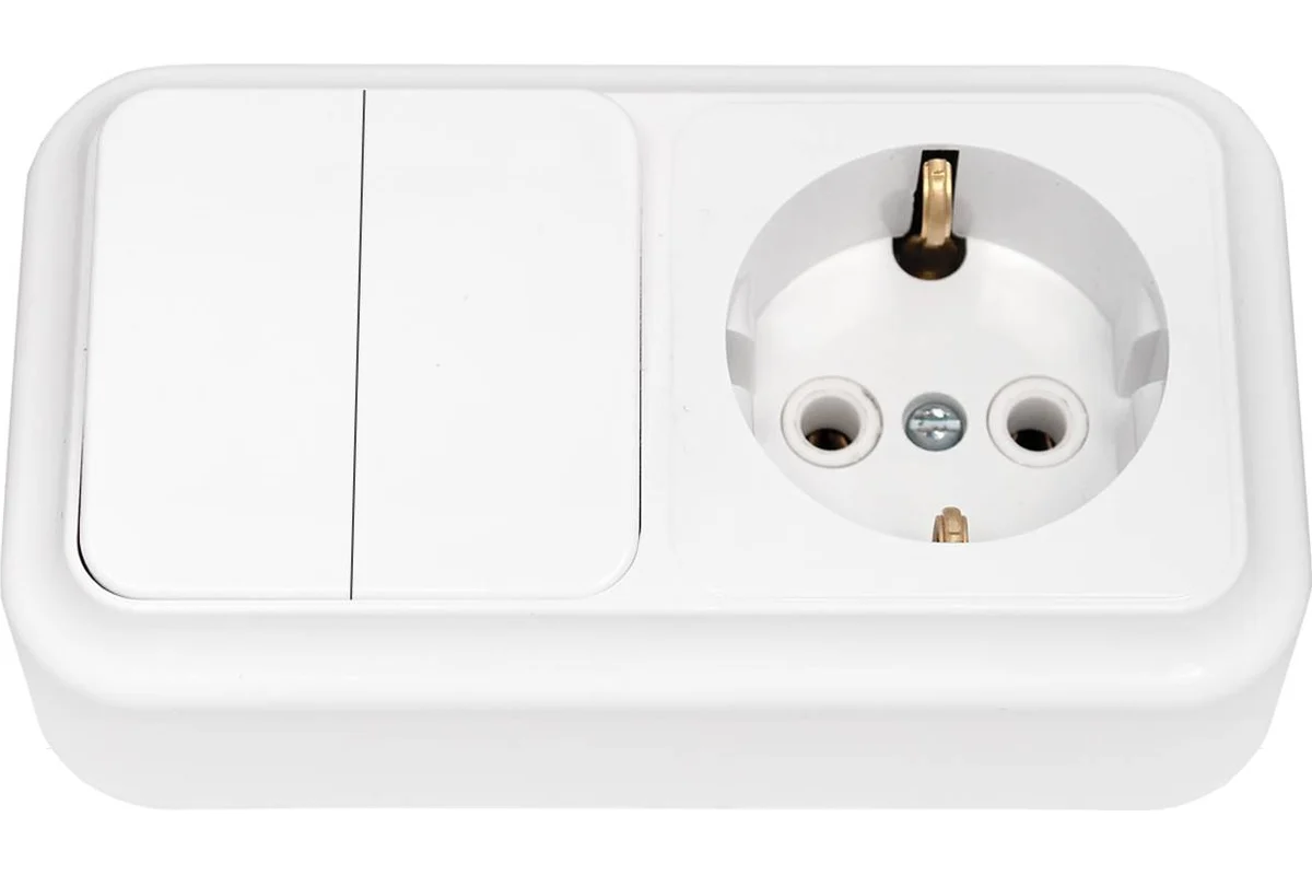 Блок комбин. ОП "Пралеска" белый (2выкл.+роз. с заземл.) 16А Bylectrica 2В-РЦ-529 (786)2В-РЦ-529- купить в АПлайн