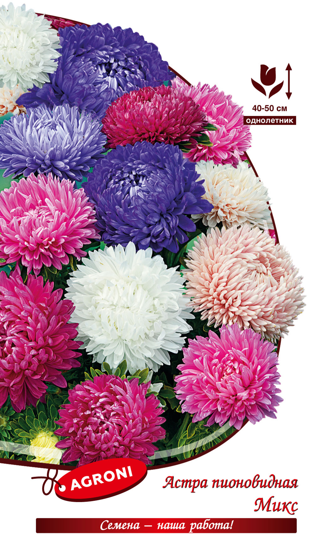 Астра пионовидная МИКС (АГРОНИ) 0,3г однолетняя е/п