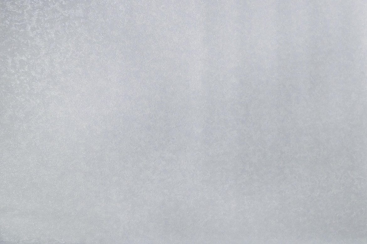 Обои виниловые на флизелиновой основе Sonet 1,06х10м Е85303